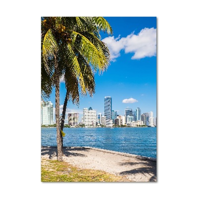 Akril üveg kép Miami