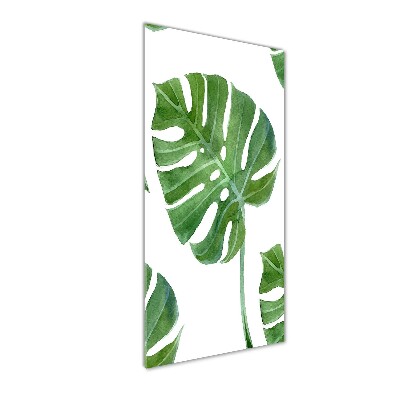 Akrilkép Monstera