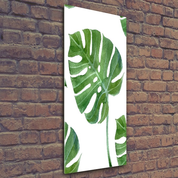 Akrilkép Monstera