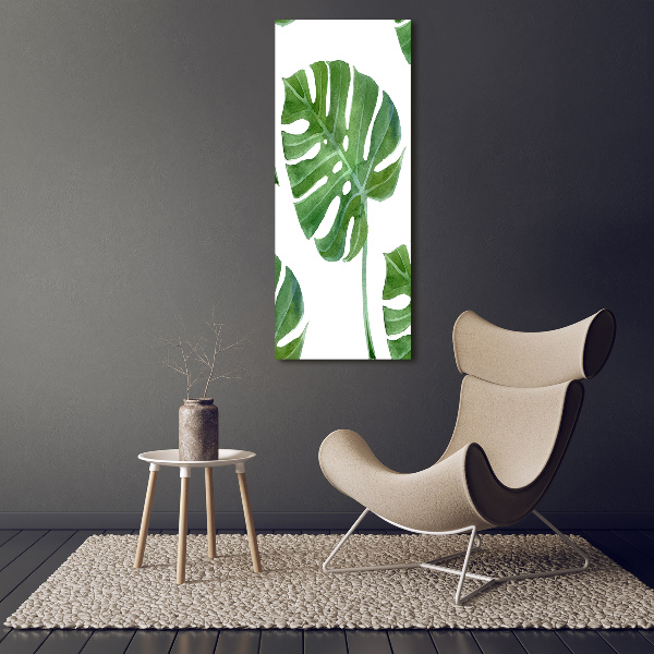 Akrilkép Monstera