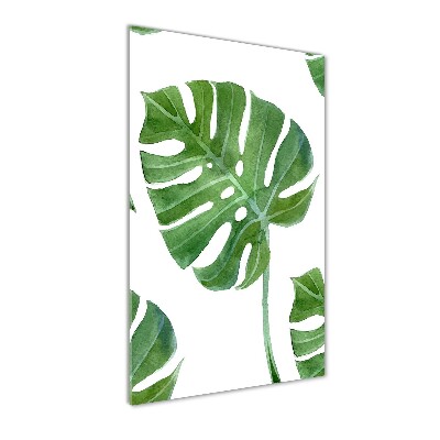 Akrilkép Monstera