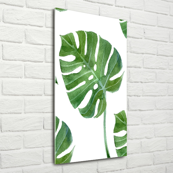 Akrilkép Monstera