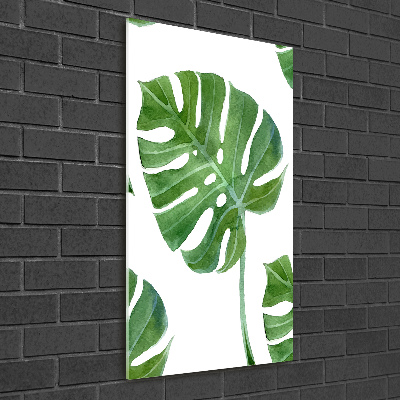 Akrilkép Monstera