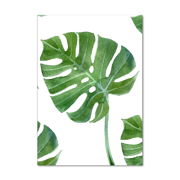 Akrilkép Monstera