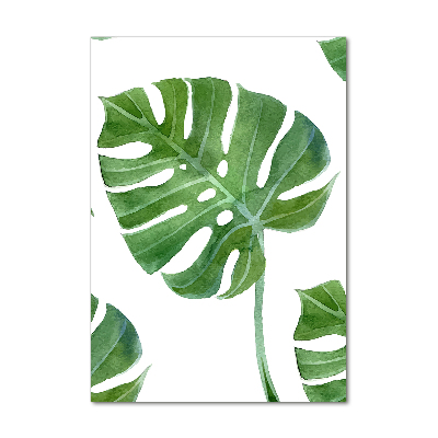 Akrilkép Monstera