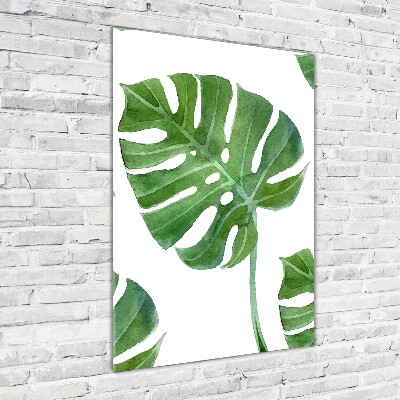 Akrilkép Monstera