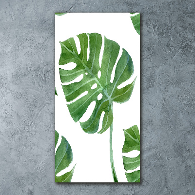 Akrilkép Monstera