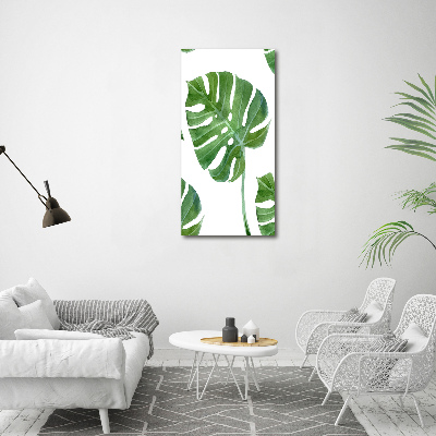 Akrilkép Monstera