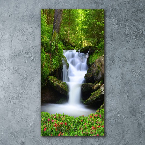 Akril üveg kép Vízesés az erdőben