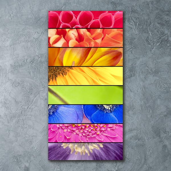 Akrilkép Színes virágok