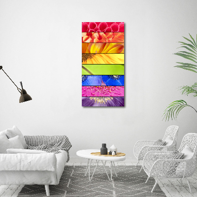 Akrilkép Színes virágok