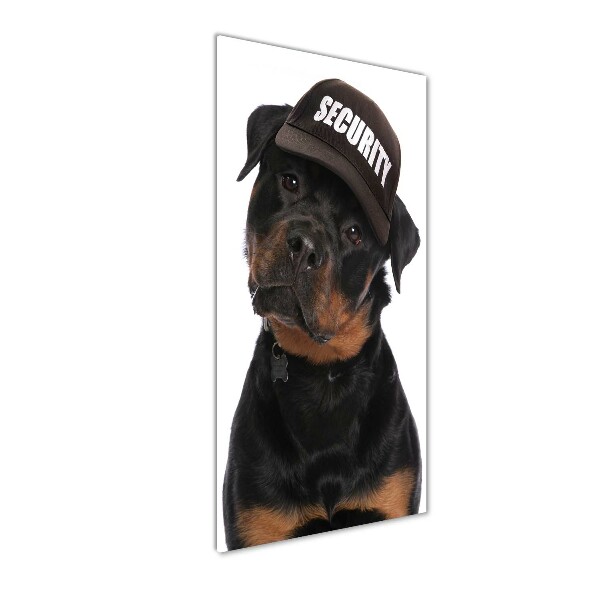 Akrilkép Rottweiler egy sapka