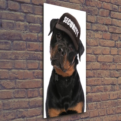 Akrilkép Rottweiler egy sapka