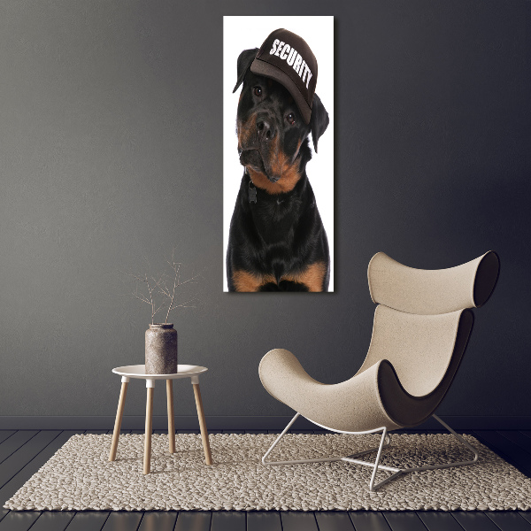 Akrilkép Rottweiler egy sapka