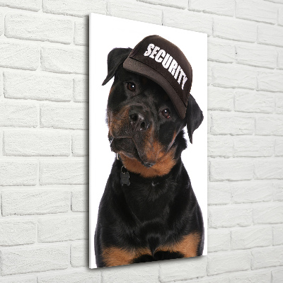 Akrilkép Rottweiler egy sapka