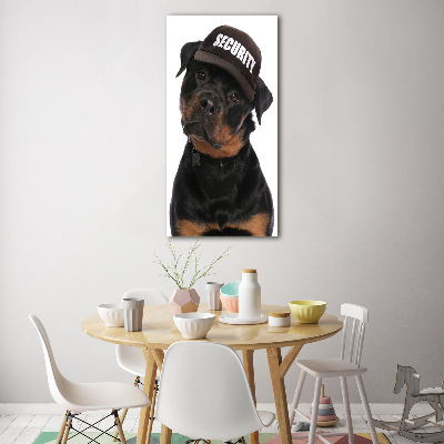 Akrilkép Rottweiler egy sapka