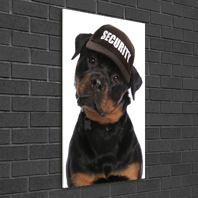 Akrilkép Rottweiler egy sapka