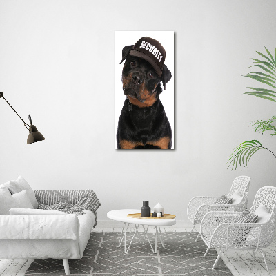 Akrilkép Rottweiler egy sapka