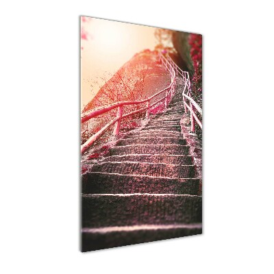 Akril üveg kép Lépcsők a hegyekben