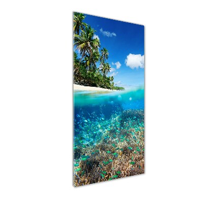 Akril üveg kép Korallzátony