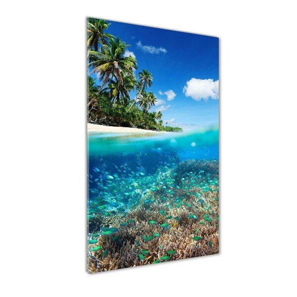 Akril üveg kép Korallzátony