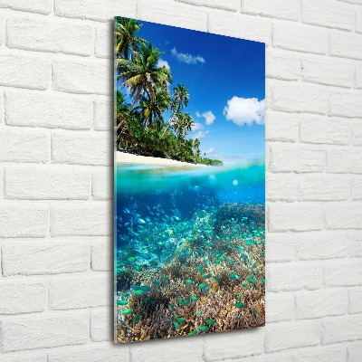 Akril üveg kép Korallzátony