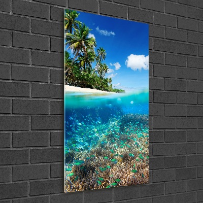 Akril üveg kép Korallzátony