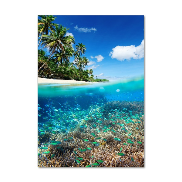 Akril üveg kép Korallzátony
