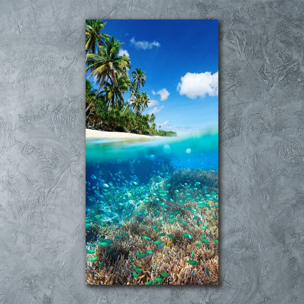 Akril üveg kép Korallzátony