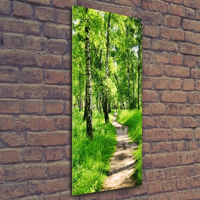 Akril üveg kép Nyírfa erdő