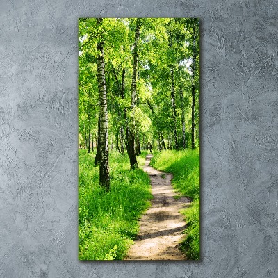Akril üveg kép Nyírfa erdő
