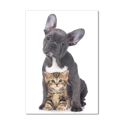 Akrilkép Kutya és macska