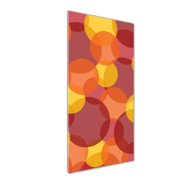 Akrilkép Színes körök