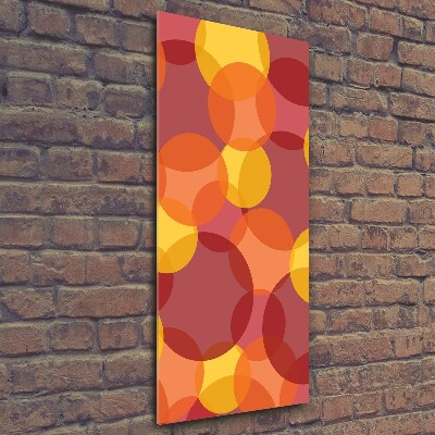 Akrilkép Színes körök