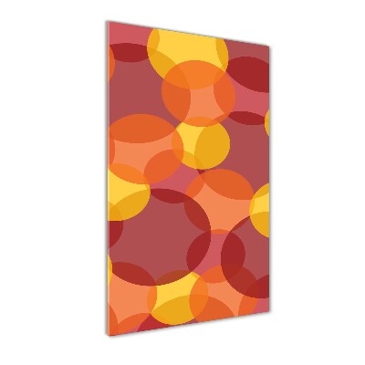 Akrilkép Színes körök