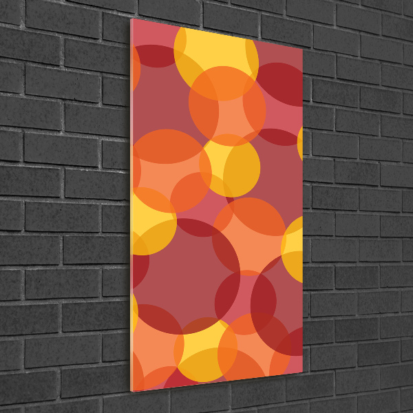 Akrilkép Színes körök