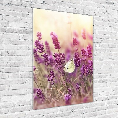 Akrilkép Levendula