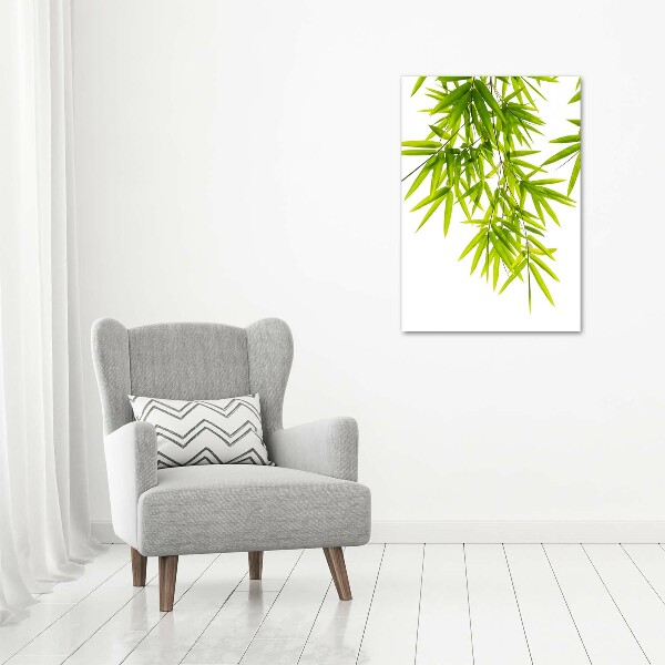 Akrilkép Bambusz levelek