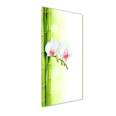 Akrilkép Orchidea és bambusz