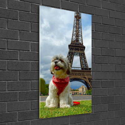 Akrilkép Dog in paris