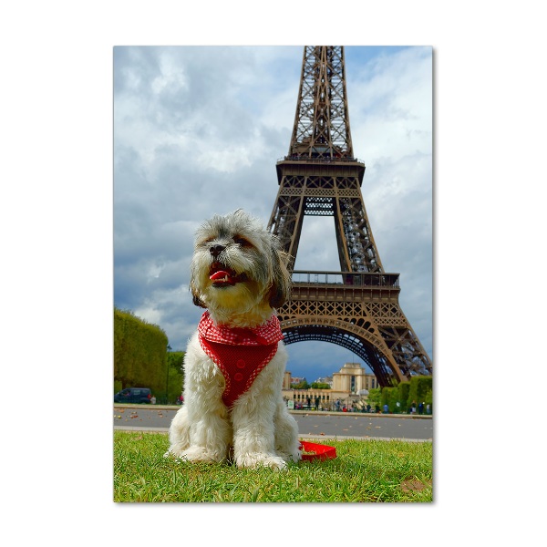 Akrilkép Dog in paris