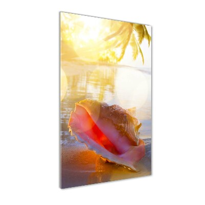 Akril üveg kép Seashell a strandon