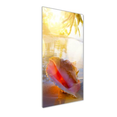 Akril üveg kép Seashell a strandon