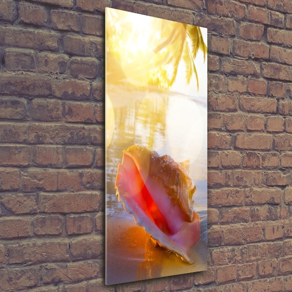 Akril üveg kép Seashell a strandon