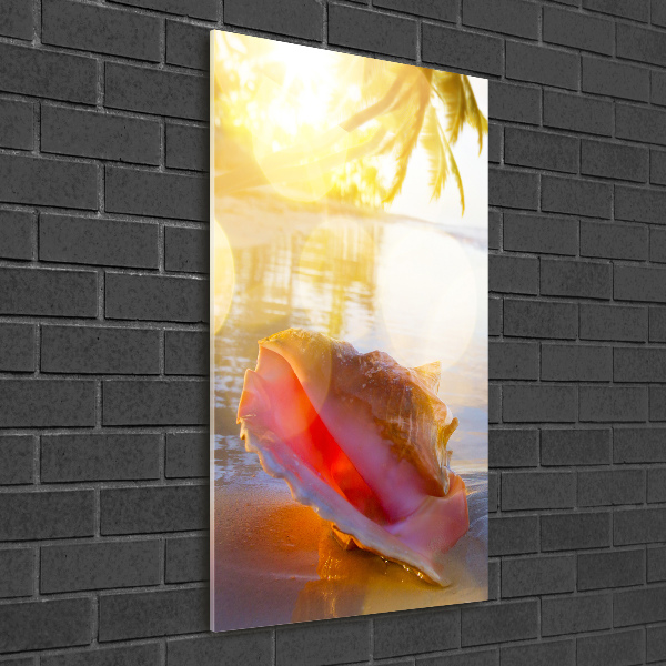 Akril üveg kép Seashell a strandon