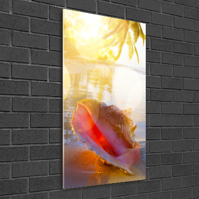 Akril üveg kép Seashell a strandon