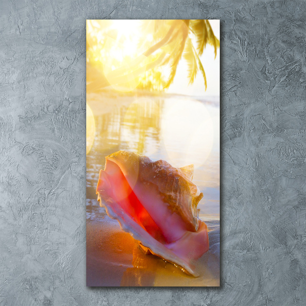 Akril üveg kép Seashell a strandon