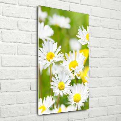 Akrilkép Margaréták