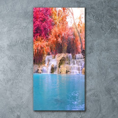 Akril üveg kép Vízesés az erdőben