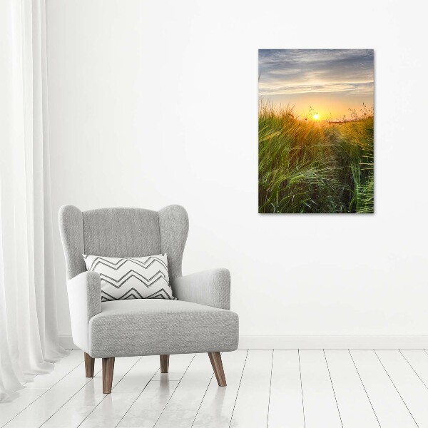 Akril üveg kép Búzamező